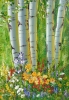 Aspen Garden