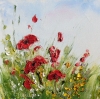 Poppies